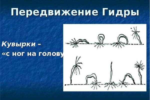 Кракен настоящее зеркало