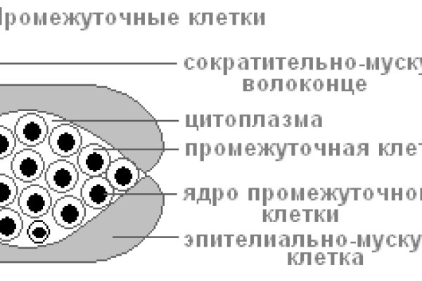 Кракен at