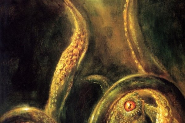 Кракен ссылка kraken dark link