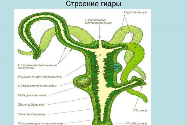 Оригинальная ссылка кракен браузера