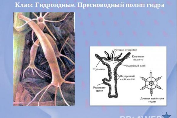 Kraken сайт магазин