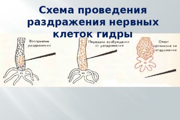 Кракен shop